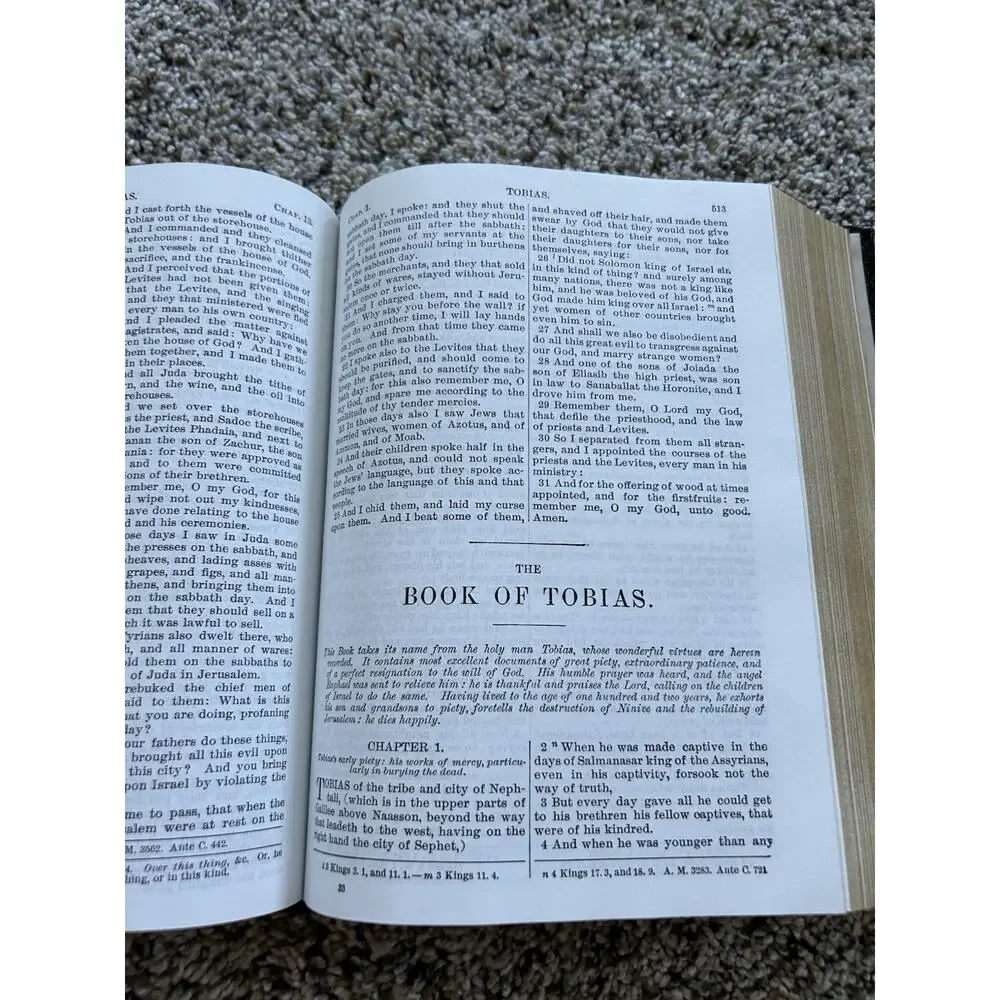The Holy Bible Douay Rheims Version Catholic 1989 Orthodox Hardcover Black F26
